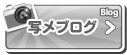 写メブログ